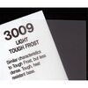 3009