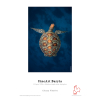 HAHNEMUHLE FineArt Baryta 325g - Rolo 61cm x 12m