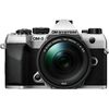 OM SYSTEM OM-5 Mark II  + 14-150mm f/4-5.6 II - Prata