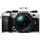OM SYSTEM OM-5 Mark II  + 14-150mm f/4-5.6 II - Prata