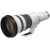 CANON RF 800mm F5.6L IS USM