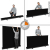 WALIMEX PRO FUNDO ROLL-UP 210X220CM - Preto