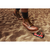 OM SYSTEM Câmera digital waterproof Tough TG-7