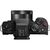PANASONIC LUMIX DC-G100D + Lumix G Vario 12-32mm f/3.5-5.6 + Punho DMW-SHGRD