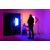 NEEWER Kit Duplo Iluminação LED RGB 24W + Softboxes 50x70cm + Tripés - NK800