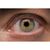 LAOWA 90mm f/2.8 2x Ultra Macro APO - Canon RFLAOWA 90mm f/2.8 2x Ultra Macro APO - Canon RF