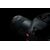 CANON RF 20mm f/1.4L VCM