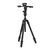 MANFROTTO Tripé de Alumínio Befree GT PRO com Cabeça 3 Vias