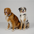 INVOXIA GPS Pet Tracker