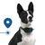 INVOXIA GPS Pet Tracker