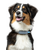 INVOXIA GPS Pet Tracker