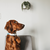 INVOXIA GPS Pet Tracker