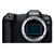 CANON EOS R8 + RF 24-105mm f/4-7.1 IS STM