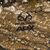 THINK TANK Emergency Capa de chuva RealTree APX - L