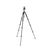 MANFROTTO Tripé de Alúminio BEFREE Advanced FilpLock com Cabeça de Bola