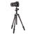 MANFROTTO Tripé de Carbono Twist Befree Advanced com Cabeça de Bola MKBFRTC4-BH (Preto)