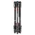 MANFROTTO Tripé de Carbono Befree Live MVKBFRTC-LIVE com Cabeça de Video