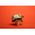 #39 BRIGHT ORANGE - 2.72x11m1