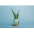 #02 SKY BLUE - 2.72x11m3