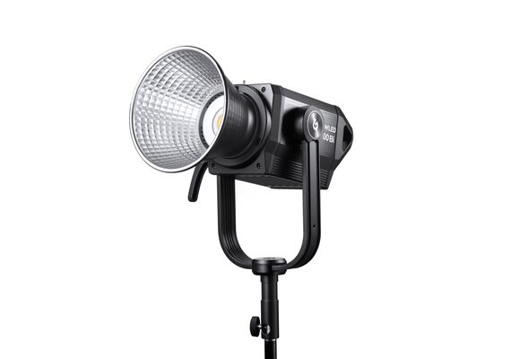 M300Bi A