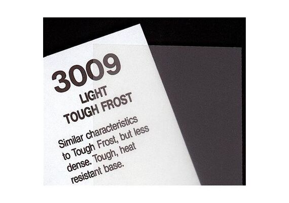 3009