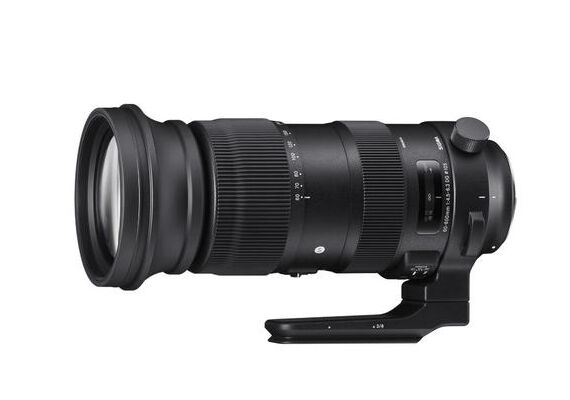 SIGMA 60-600mm f/4.5-6.3 DG DN OS L-MOUNT (2)