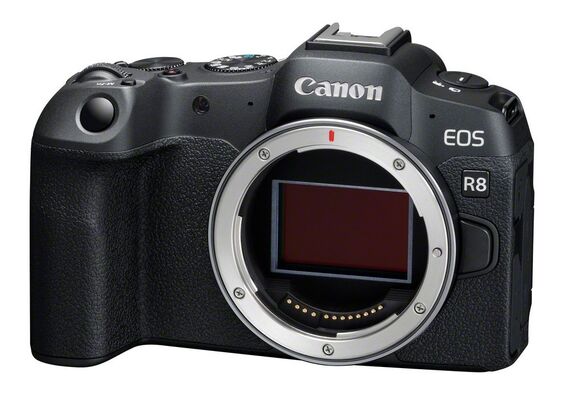 CANON EOS R8 - Corpo