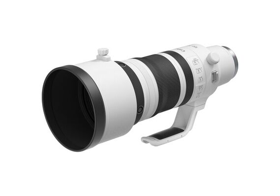 CANON RF 100-300mm f/2.8 L IS USM
