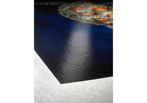 HAHNEMUHLE FineArt Baryta 325g - Rolo 61cm x 12m