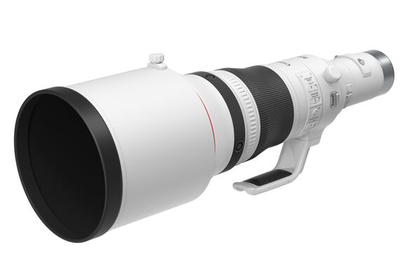 CANON RF 800mm F5.6L IS USM