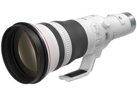 CANON RF 800mm F5.6L IS USM