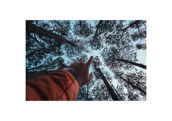 SAMYANG Lente 12mm f/2.0 para Fujifilm X -C