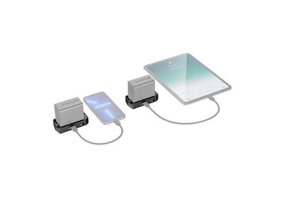 SMALLRIG 3168 Placa para Bateria NP-F Edição Profissional