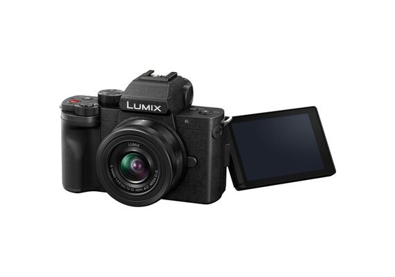 PANASONIC LUMIX DC-G100D + Lumix G Vario 12-32mm f/3.5-5.6 + Punho DMW-SHGRD