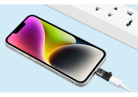 PULUZ Adaptador USB-C Fêmea / Lightning Macho