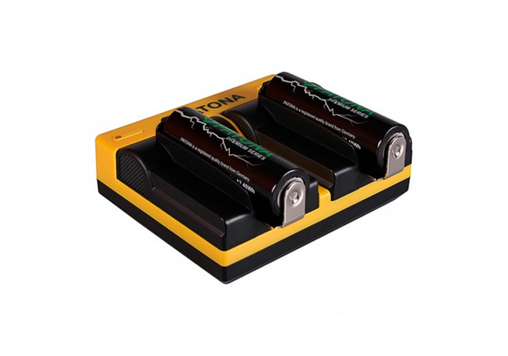 PATONA Carregador Duplo USB para Baterias 18650