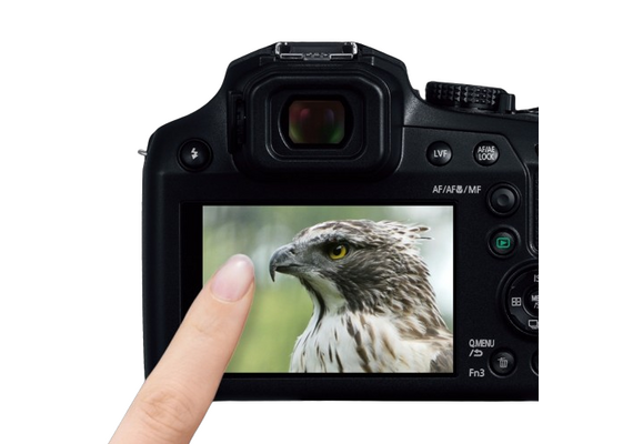 PANASONIC LUMIX DC-FZ82D