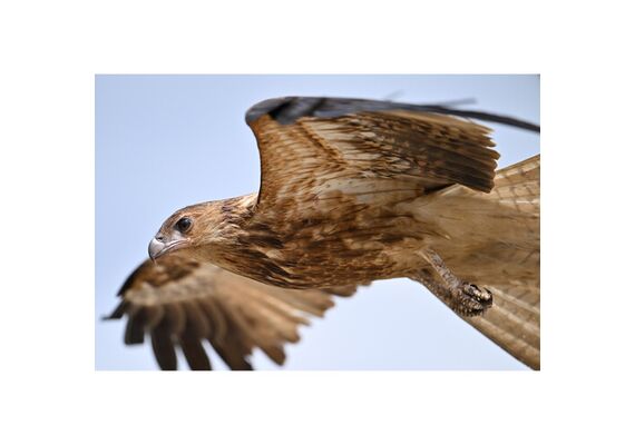 NIKON Z8 + 24-120mm f/4 S