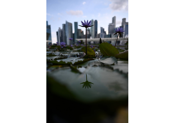 NIKON Nikkor Z 24mm f/1.8 S