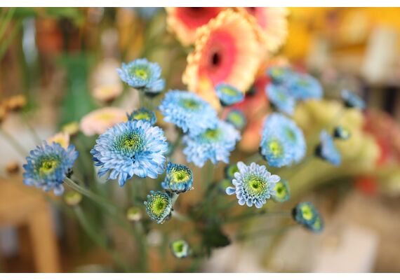 CANON RF 24mm f/1.4L VCM
