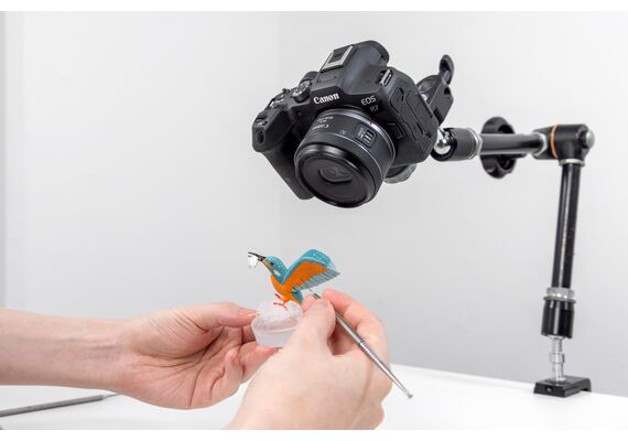 CANON RF-S 7.8mm f/4 STM DUAL