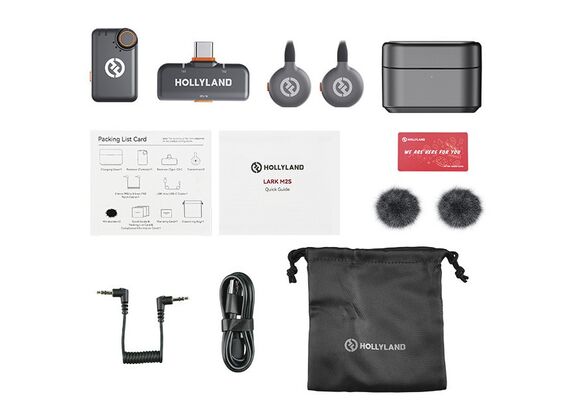 HOLLYLAND Lark M2s Mini Combo