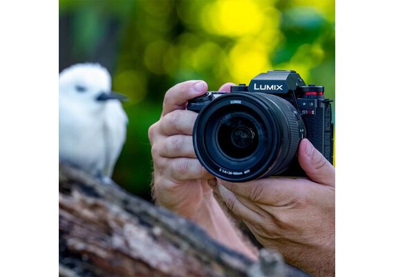 PANASONIC LUMIX S1R II + S 24-105mm f/4 Macro O.I.S
PANASONIC LUMIX S1R II + S 24-105mm f/4 Macro O.I.S
