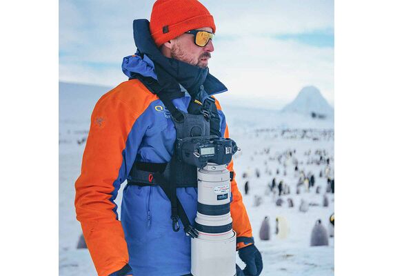 COTTON CARRIER Arnês de Torso com Suporte para Cameras