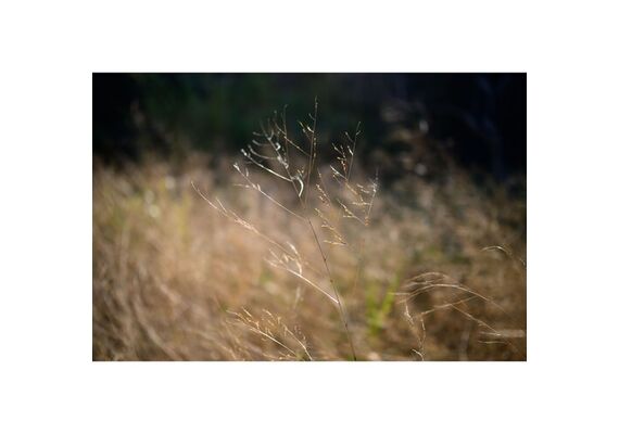 AF 25mm f/1.7 Air Nikon Z
