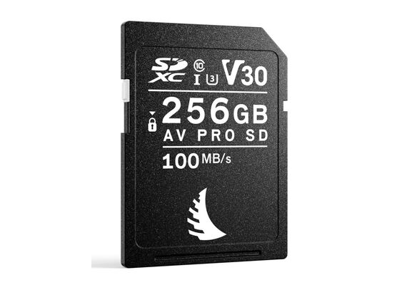 ANGELBIRD AV PRO SD MK2 100mb/s Classe 10 V30 U3 - 256GB