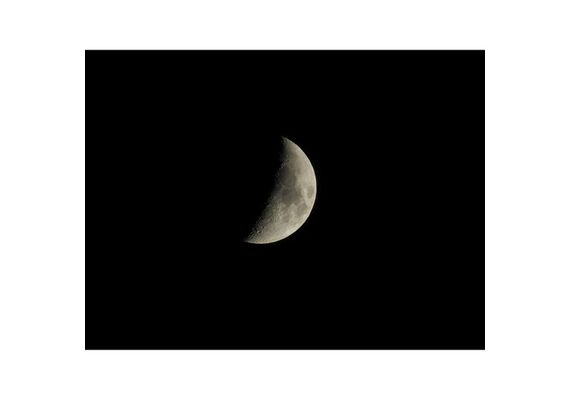 NIKON Coolpix P1100