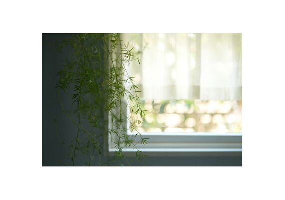 SONY FE 50mm f/1.4 GM