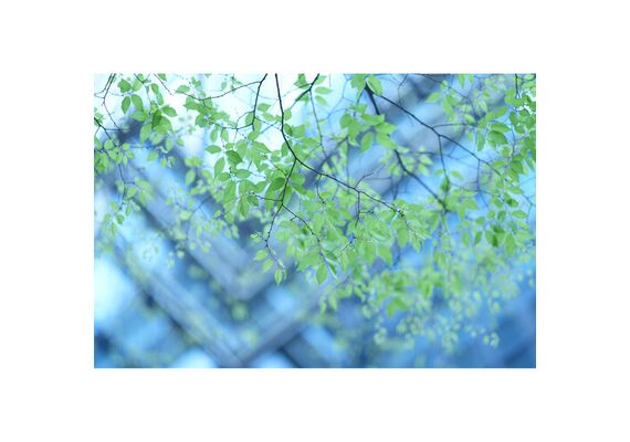 SONY FE 85mm f/1.4 GM II