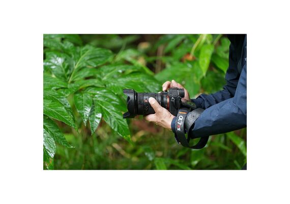 SONY α7R V - Corpo